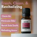(RV) Purify - Essential Oil - 10mL