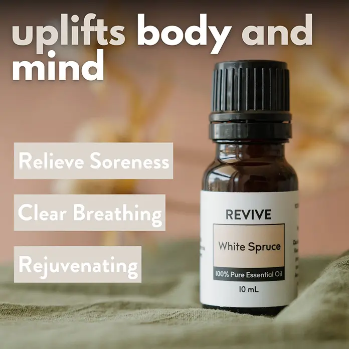 (RV) White Spruce - Essential Oil - 10mL